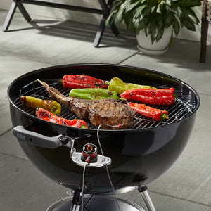 WEBER IGRILL MINI