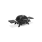 Weber® Q 1200N Gas Grill with Side Tables