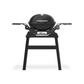 Weber® Q 1200N Gas Grill with Stand