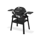 Weber® Q 1200N Gas Grill with Stand