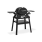 Weber® Q 1200N Gas Grill with Stand