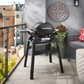 Weber® Q 1200N Gas Grill with Stand