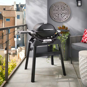 Weber® Q 1200N Gas Grill with Stand