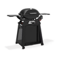 Weber® Q 2800N+ Gas Grill with Cart