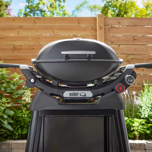 Weber® Q 2800N+ Gas Grill with Cart