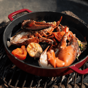 Combekk® Double Handle Skillet (24cm) – Enameled Recycled Cast Iron, Bordeaux - Importeco