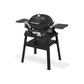 Weber® Q 1200N Gas Grill with Stand - Importeco